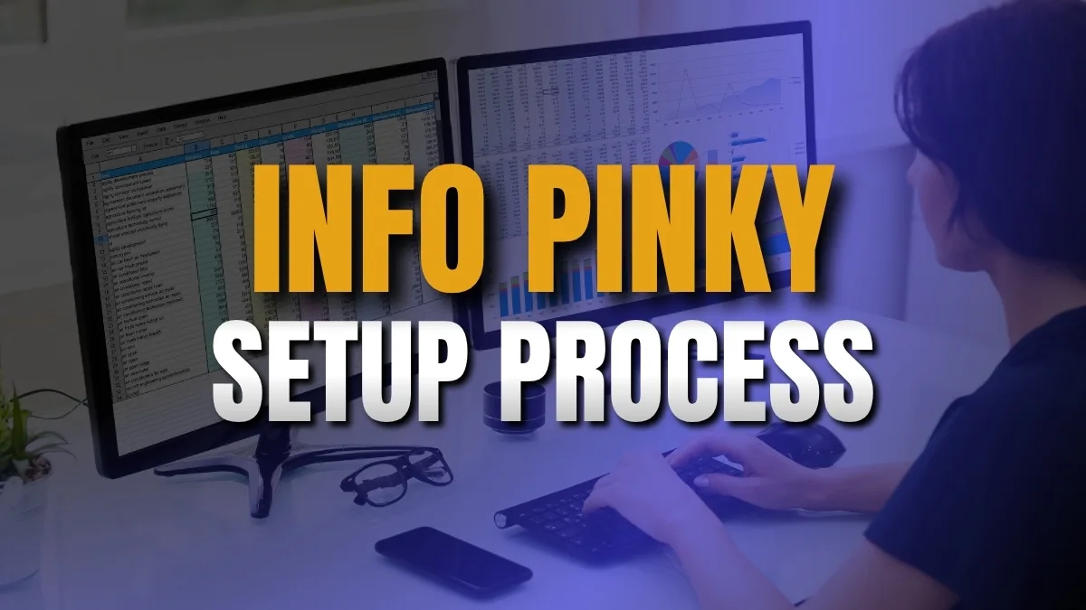 Info Pinky Lead Capture and Data Centralization. CRM Automation & Lead Capture Setup | InfoPinky Technical Infrastructure. Setup Process for startups and freelancers.