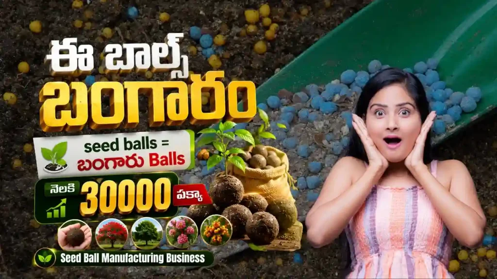 village business ideas telugu and online business ideas in telugu as self employment business ideas in telugu.. కోట్లు సంపాదించేవాళ్ళు చేసే Cool బిజినెస్ | Seed Ball Manufacturing Business | ఇవి సీడ్ బాల్స్ కాదురా బాబు, బంగారు Balls.