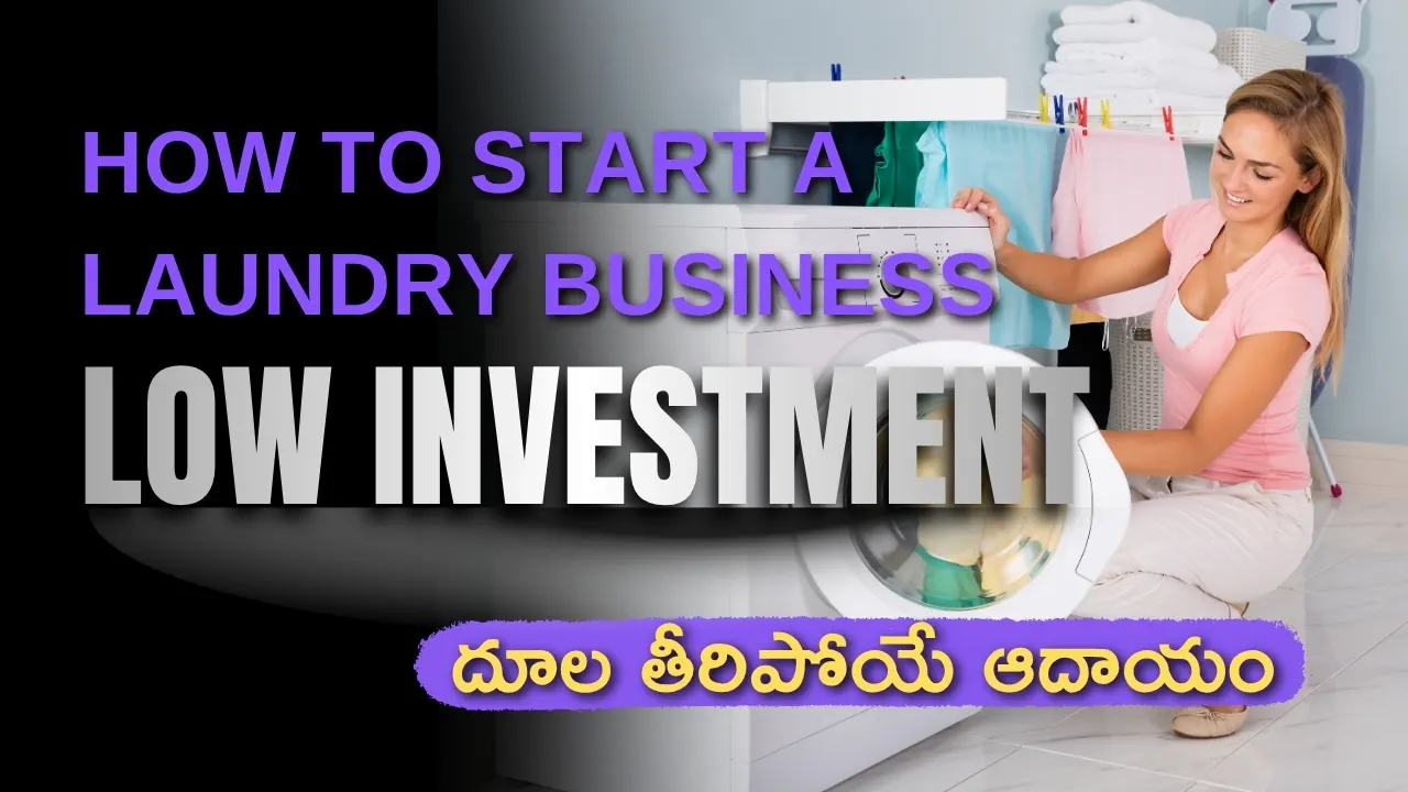 Step-by-step low investment laundry business startup plan in Telugu showing a woman loading a washing machine.